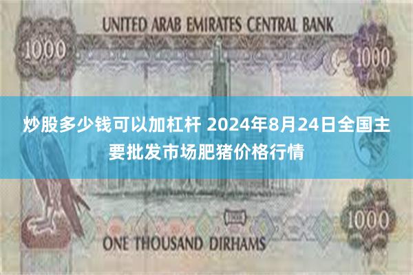 炒股多少钱可以加杠杆 2024年8月24日全国主要批发市场肥猪价格行情