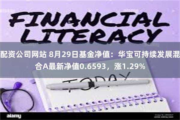 配资公司网站 8月29日基金净值：华宝可持续发展混合A最新净值0.6593，涨1.29%