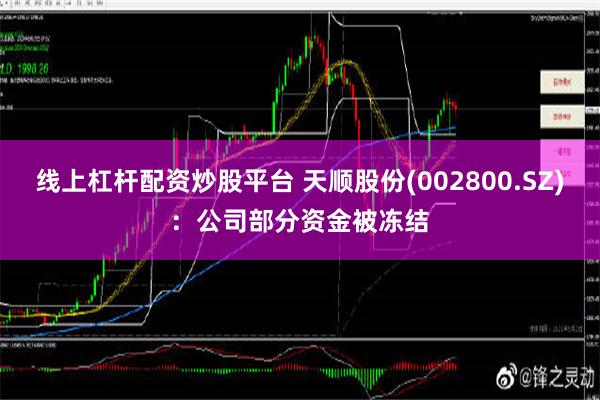 线上杠杆配资炒股平台 天顺股份(002800.SZ)：公司部分资金被冻结