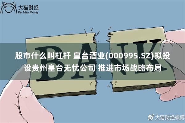 股市什么叫杠杆 皇台酒业(000995.SZ)拟投设贵州皇台无忧公司 推进市场战略布局