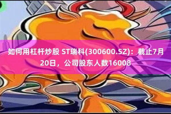 如何用杠杆炒股 ST瑞科(300600.SZ)：截止7月20日，公司股东人数16008