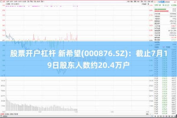 股票开户杠杆 新希望(000876.SZ)：截止7月19日股东人数约20.4万户