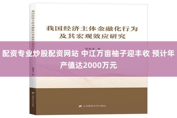 配资专业炒股配资网站 中江万亩柚子迎丰收 预计年产值达2000万元