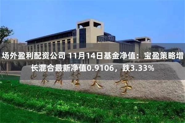 场外盈利配资公司 11月14日基金净值：宝盈策略增长混合最新净值0.9106，跌3.33%