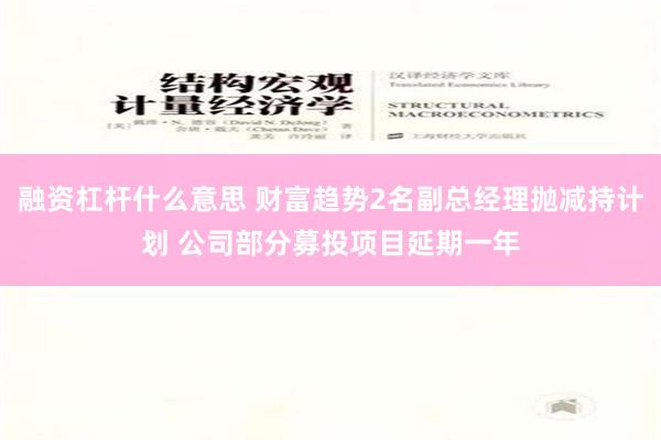 融资杠杆什么意思 财富趋势2名副总经理抛减持计划 公司部分募投项目延期一年